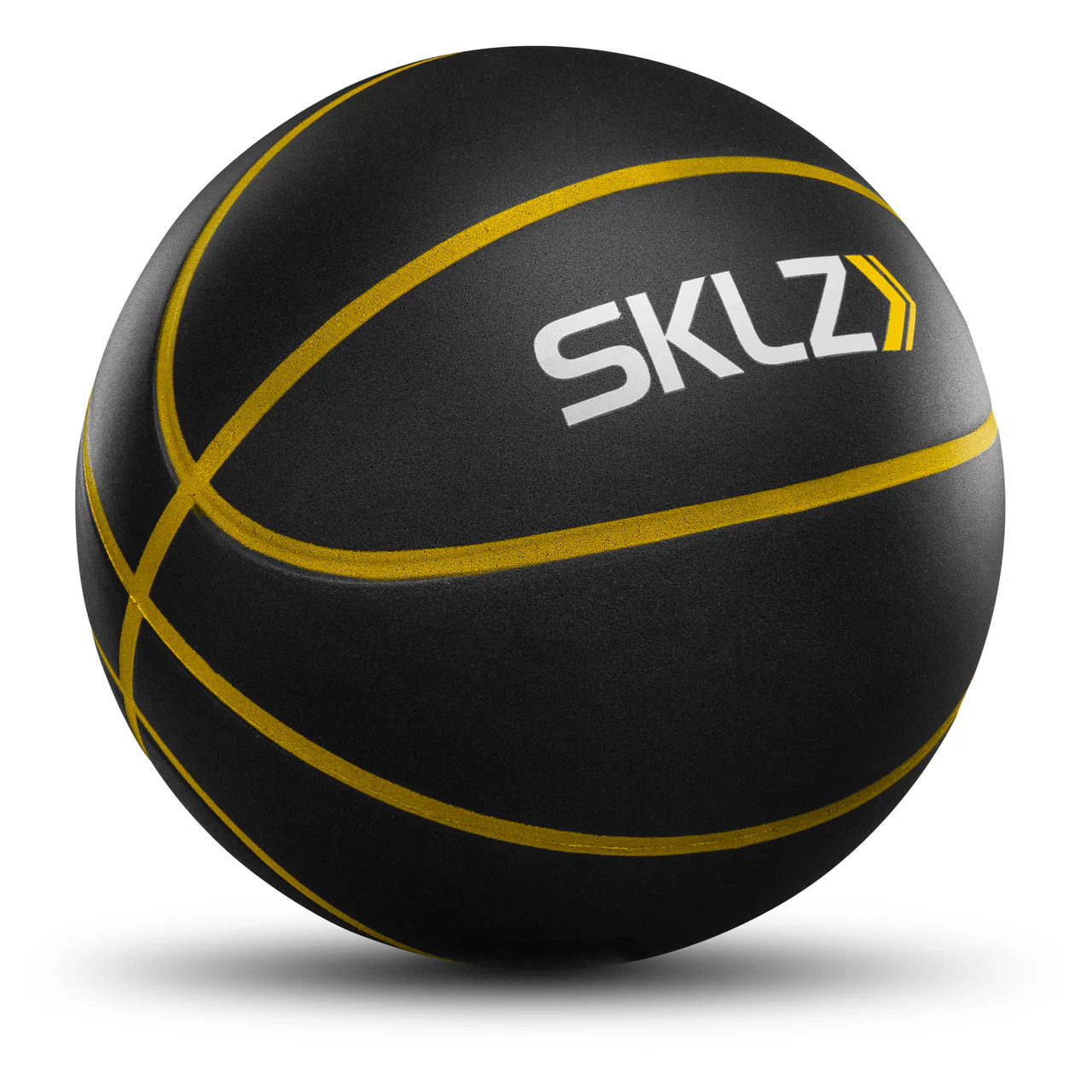 SKLZ_Bashhhketball_Pro_1